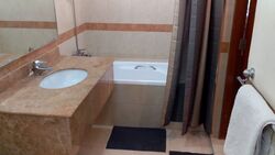 Sommerville Park (D10), Condominium #482898891